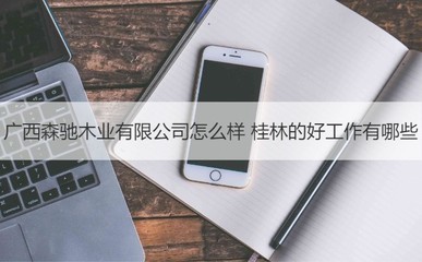 廣西森馳木業(yè)評(píng)價(jià)與桂林優(yōu)質(zhì)工作機(jī)會(huì)及工藝美術(shù)品收藏品零售行業(yè)前景